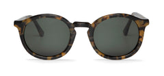 Hc Tortoise