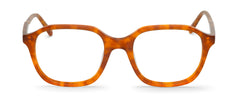 Cedar