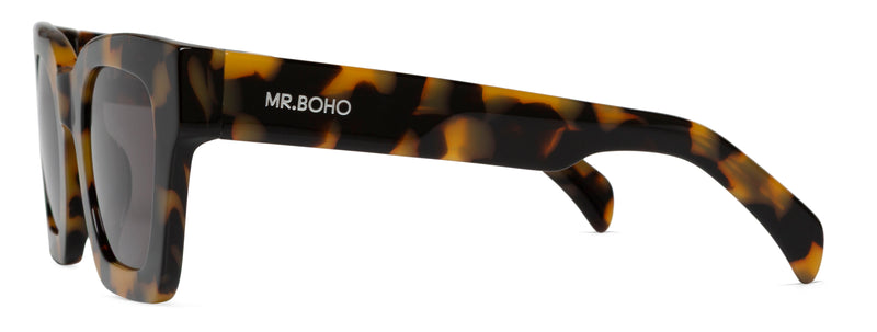 HC TORTOISE BONDI  WITH CLASSICAL LENSES