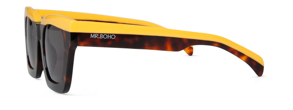 RAY BONDI WITH CLASSICAL LENSES