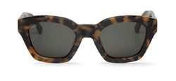 HC TORTOISE - BARROSA WITH CLASSICAL LENSES