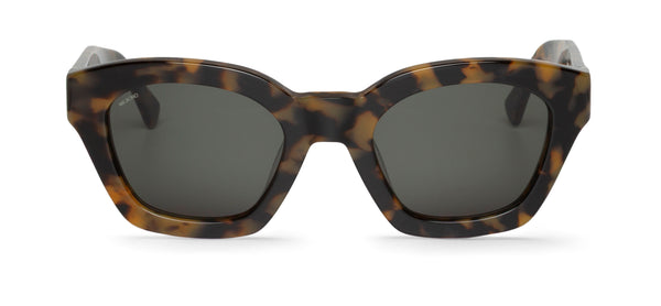 HC TORTOISE - BARROSA WITH CLASSICAL LENSES