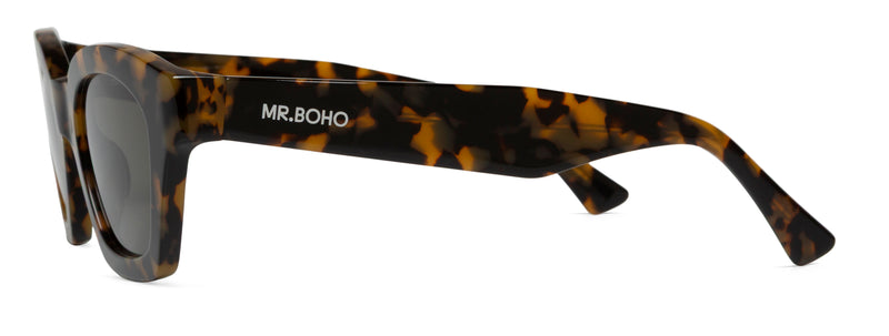 HC TORTOISE - BARROSA WITH CLASSICAL LENSES