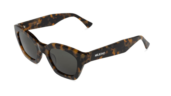 HC TORTOISE - BARROSA WITH CLASSICAL LENSES