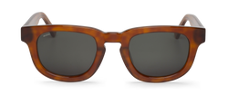 CEDAR - SIESTA - WITH CLASSICAL LENSES