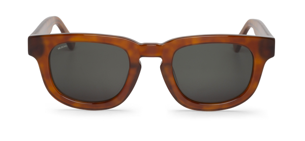 CEDAR - SIESTA - WITH CLASSICAL LENSES