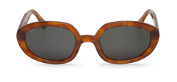 CEDAR - SOLARTE - WITH CLASSICAL LENSES
