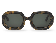 Hc Tortoise