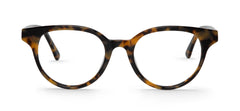 Hc Tortoise