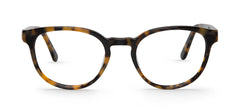 High Contrast Tortoise