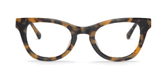 Hc Tortoise