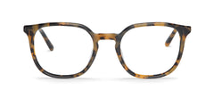 Hc Tortoise