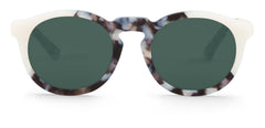 Cream Ash Tortoise
