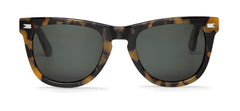 Hc Tortoise