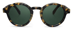 High Contrast Tortoise